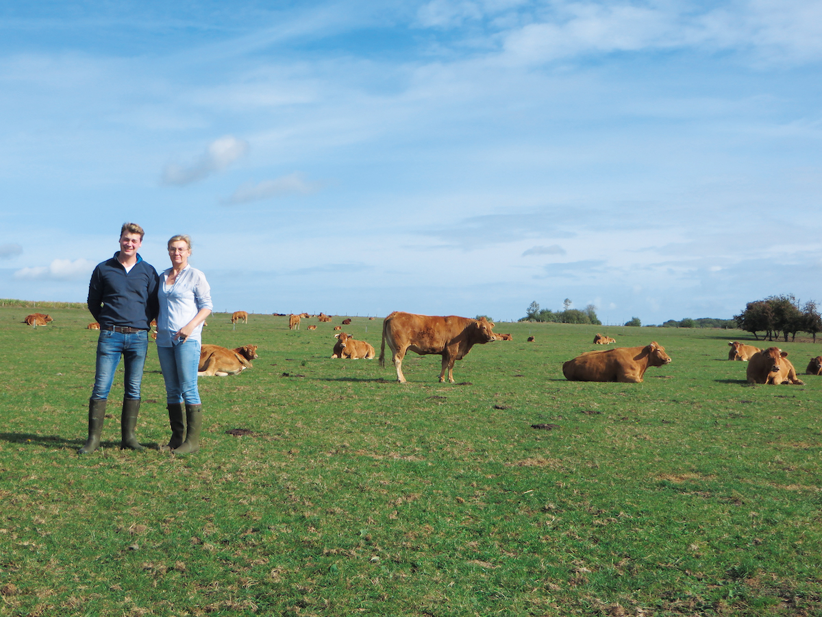 Dethier et Pirard, éleveurs de mère en fils de boeuf bio